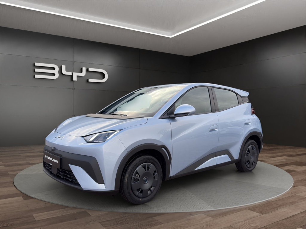 Byd - Dolphin Surf Active 8091495
