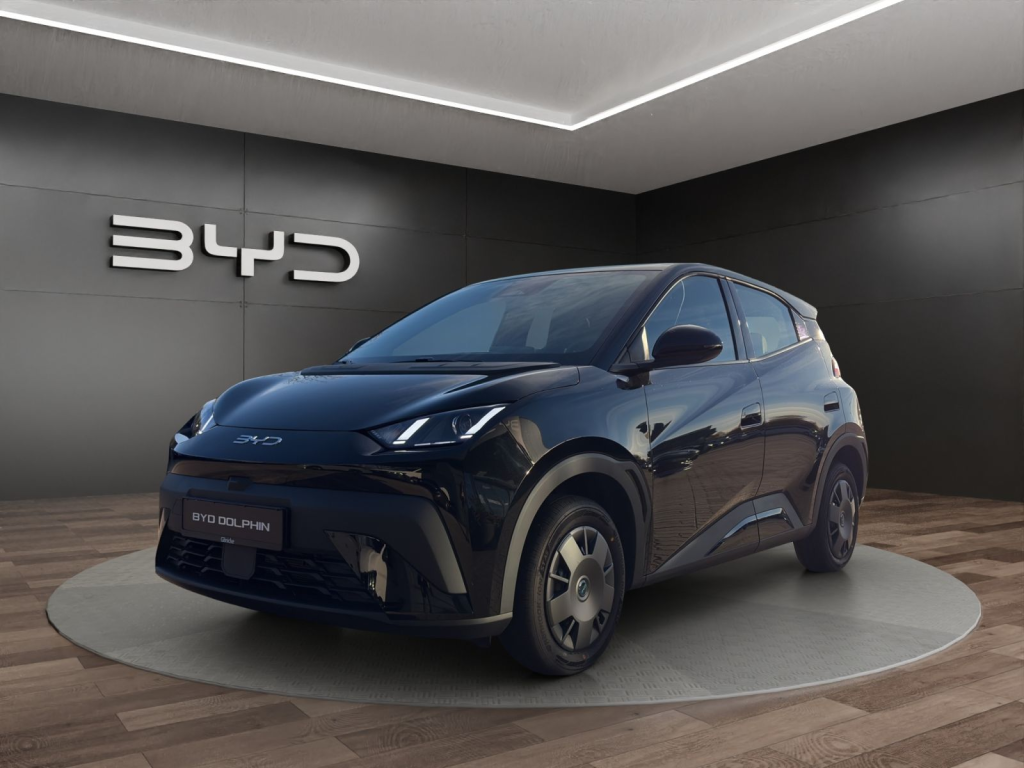 Byd - Dolphin Surf Active 8091496