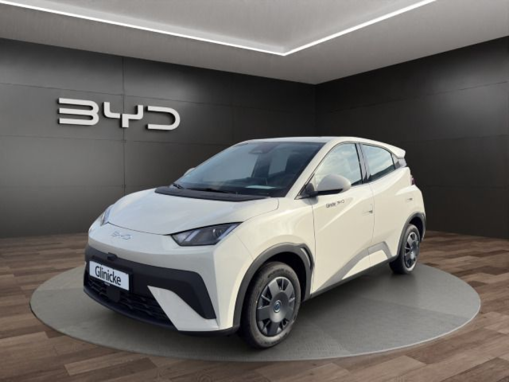 Byd - Dolphin Surf Active 8091498