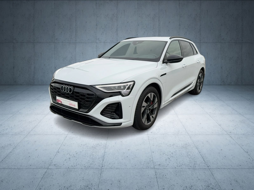 Audi - Q8 e-tron S line 50 qu. 0,25%/Matrix/HuD/Assist/Kam/PBox/optik 8100145