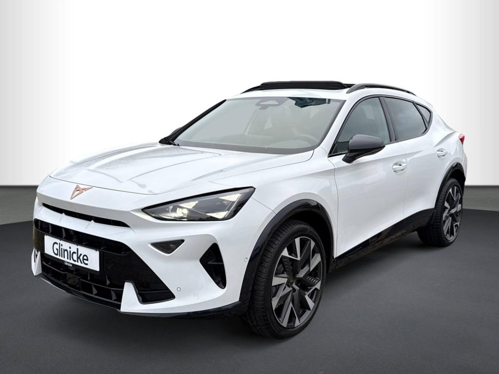 Cupra - Formentor 2.0 TSI 4Drive, SHZ, RFK, LED 8433857