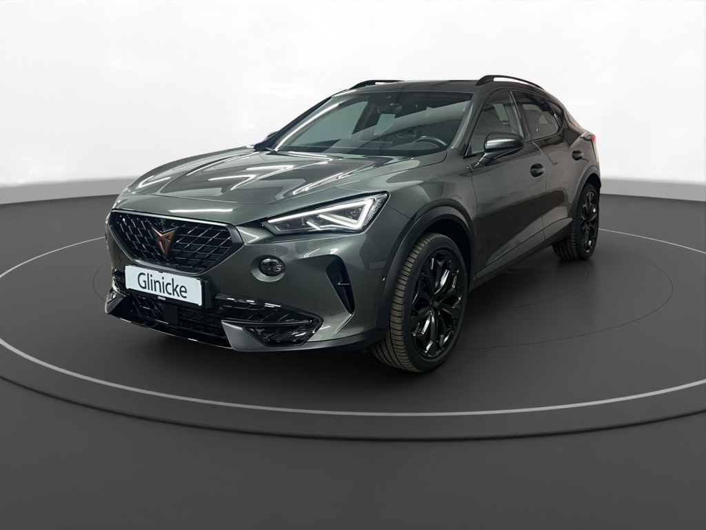Cupra - Formentor VZ Tribe Edition Pano Matrix LM 19" 360&deg; Beats 8738161