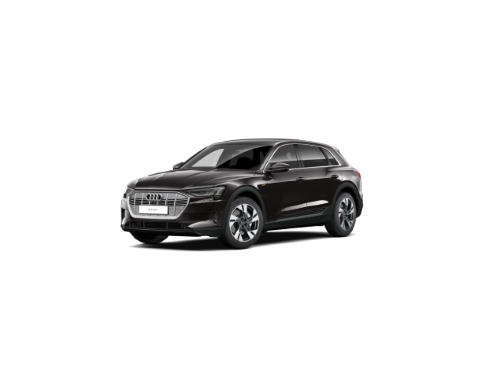 Audi - e-tron 50 quattro S line/Luft/Nav/ACC/sound/20" 8887901