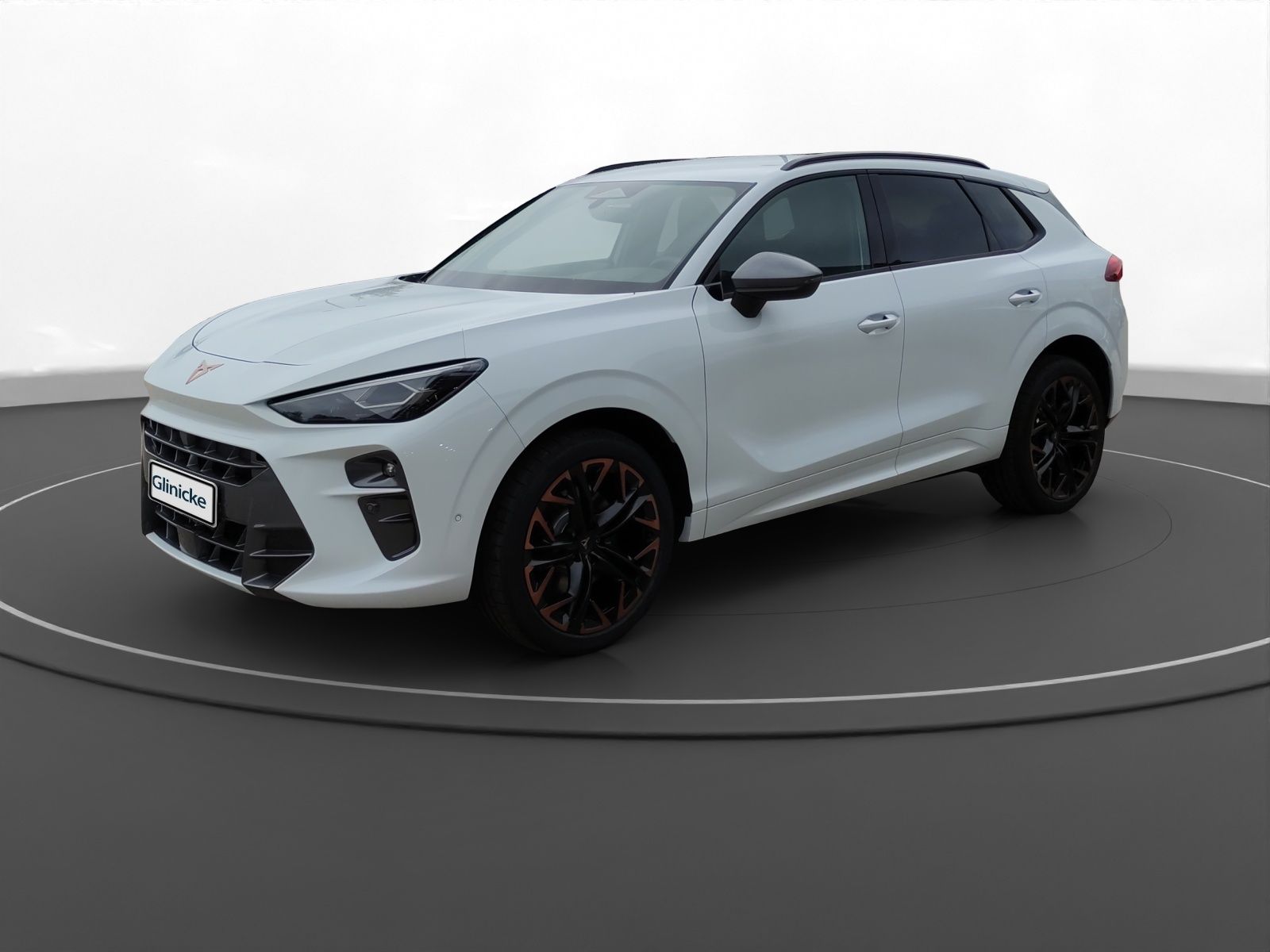 Cupra - Terramar 2.0 TSI DSG VZ 4Drive 20" Matrix 8926696