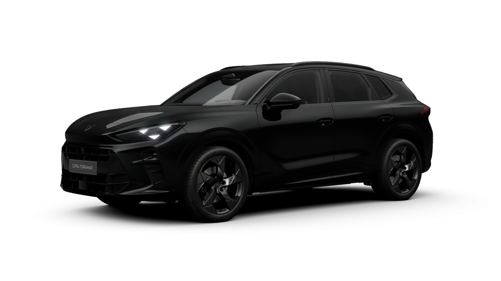 Cupra - Terramar VZ Tribe Edition 2.0 TSI 4Drive PANO, AHK, HEAD-UP 8959808