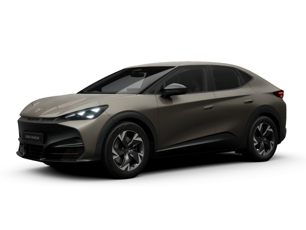 Cupra - Tavascan 140 kW (190 PS) 9102291