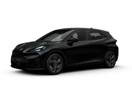 Cupra - Raval Endurance Edition Dynamic 155 kW (211 PS) 52 kWh 9053244