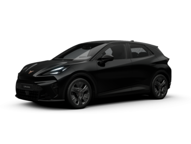 Cupra - Raval Endurance Edition Dynamic 155 kW (211 PS) 52 kWh 9053244