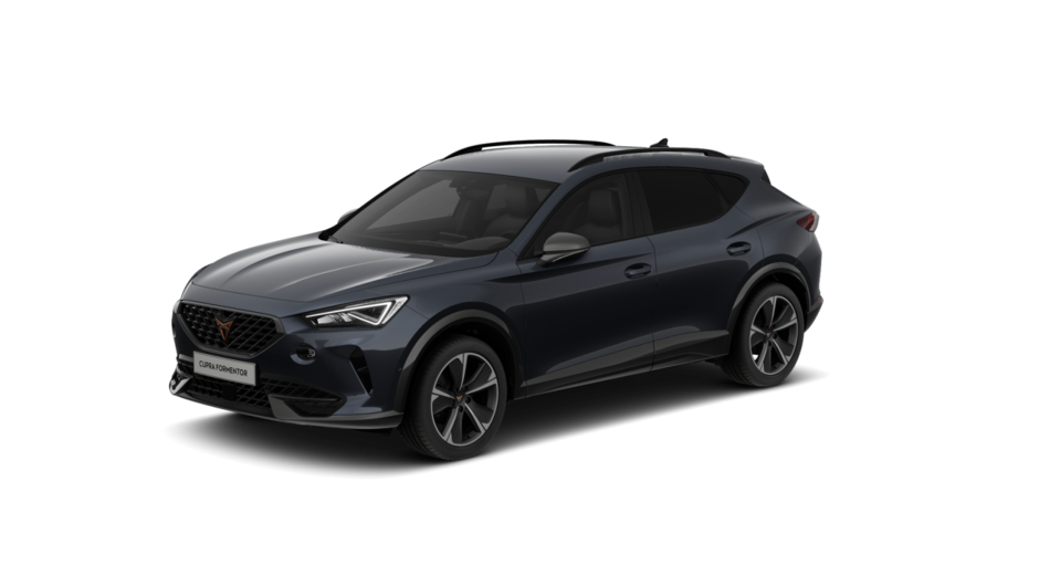 Cupra - Formentor 1,5 TSI Navi Kamera PDC SiHz DSG 8849524