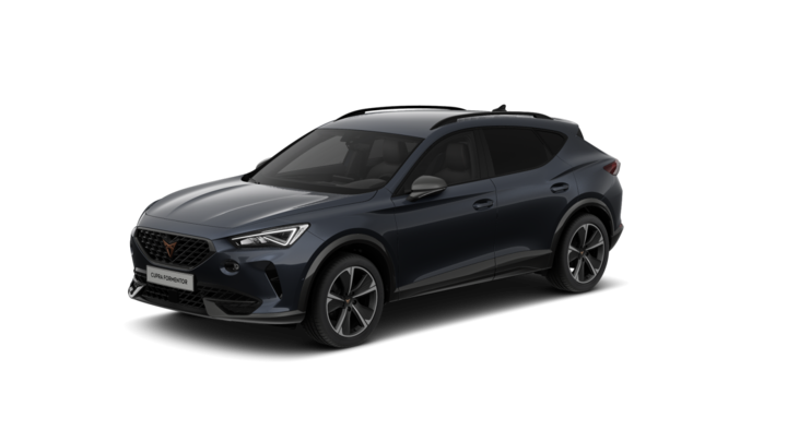 Cupra - Formentor 1,5 TSI Navi Kamera PDC SiHz DSG 8849524
