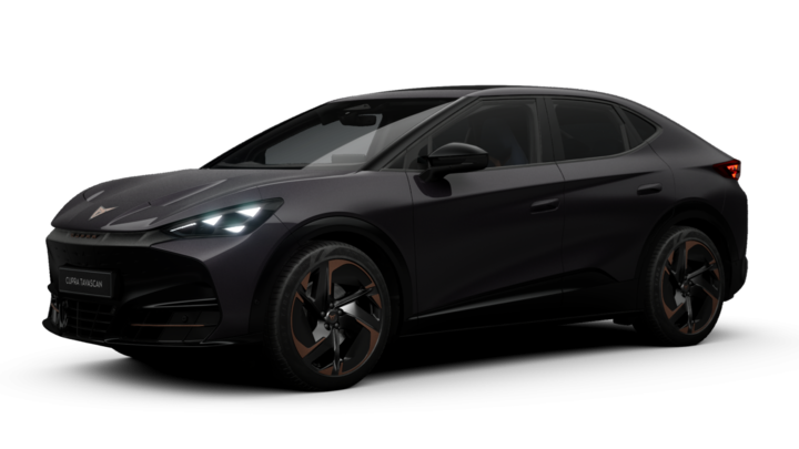 Cupra - Tavascan Endurance 210 kW (286 PS) 77 kWh 8952894