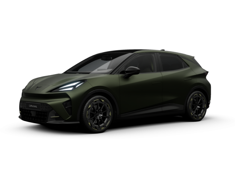Cupra - Raval VZ 166  NAVI, MATRIX, SHZ, RFK 9077259