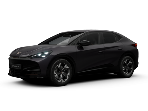 Cupra - Tavascan Endurance 210 kW (286 PS) 9102522