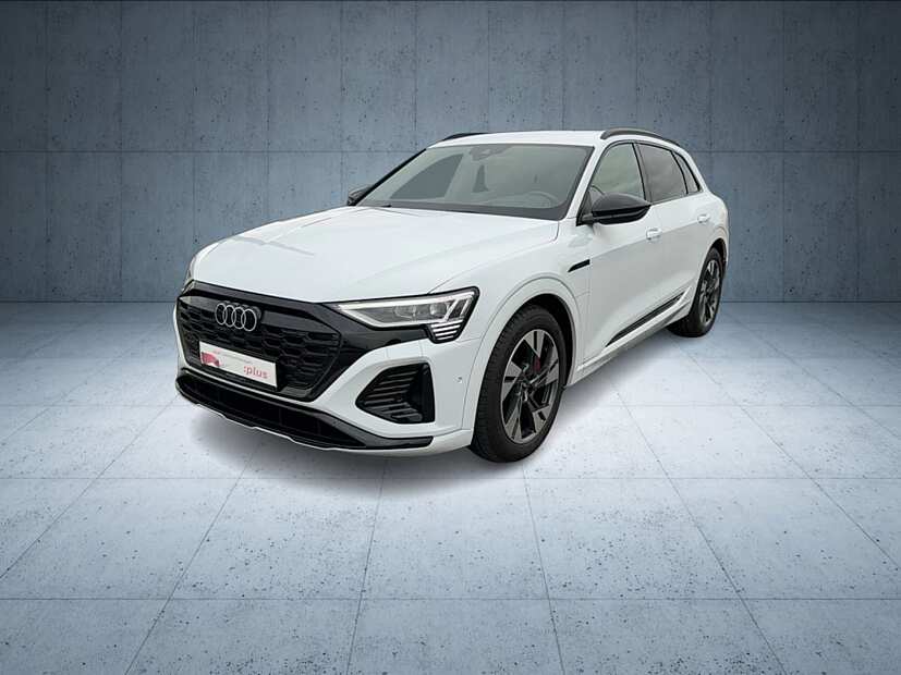 Audi - Q8 e-tron S line 50 qu. 0,25%/Matrix/HuD/Assist/Kam/PBox/optik 8100145
