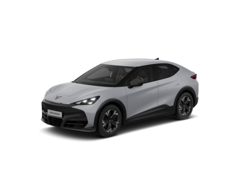 Cupra - Tavascan Endurance 210kW ACC LED KAM Klima Sitzhzg. W&auml;rmepumpe 8540620