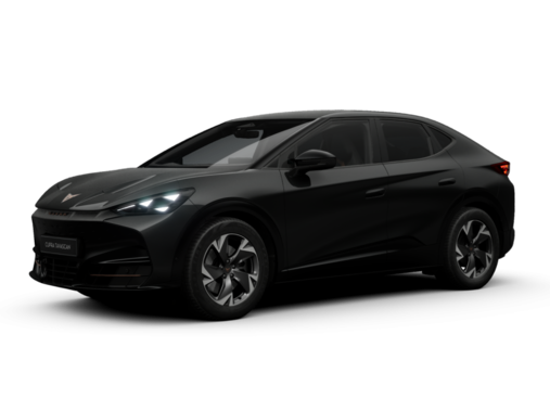 Cupra - Tavascan Endurance 210 kW (286 PS) 9102310