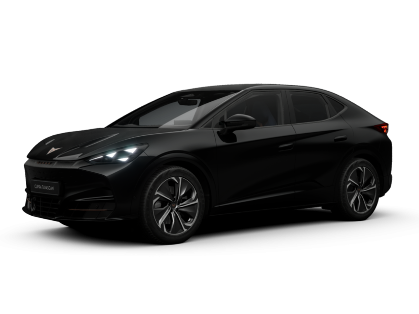 Cupra - Tavascan Endurance 210 kW (286 PS) 9102042