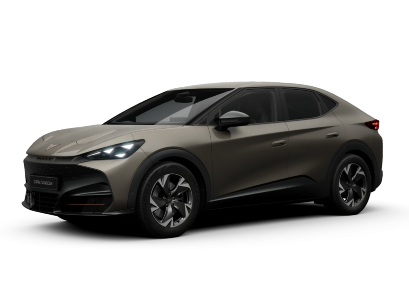 Cupra - Tavascan 140 kW (190 PS) 9102298