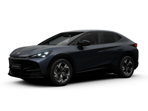 Cupra - Tavascan 140 kW (190 PS) 58 kWh 9102379