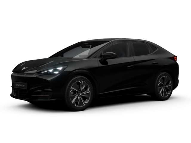 Cupra - Tavascan Endurance 210 kW (286 PS) 9102008