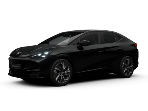 Cupra - Tavascan Endurance 210 kW (286 PS) 9102008