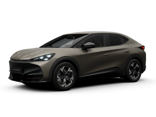Cupra - Tavascan 140 kW (190 PS) 9102258