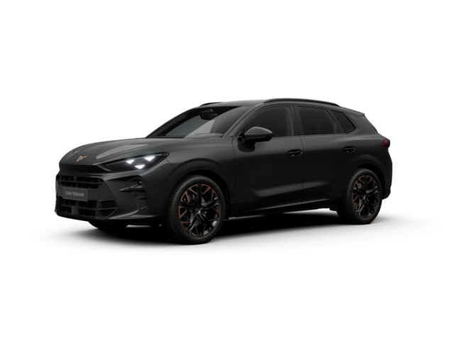 Cupra - Terramar 2.0 TSI DSG VZ 4Drive Matrix 20" 8928586