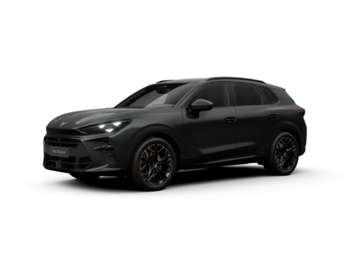 Cupra - Terramar 2.0 TSI DSG VZ 4Drive Matrix 20" 8928586