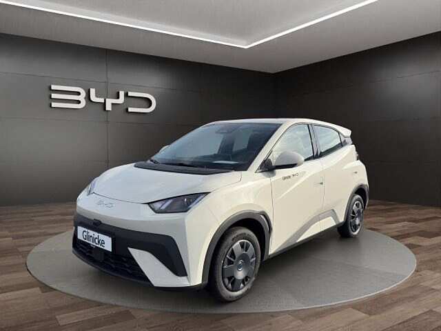 Byd - Dolphin Surf Active 8091498
