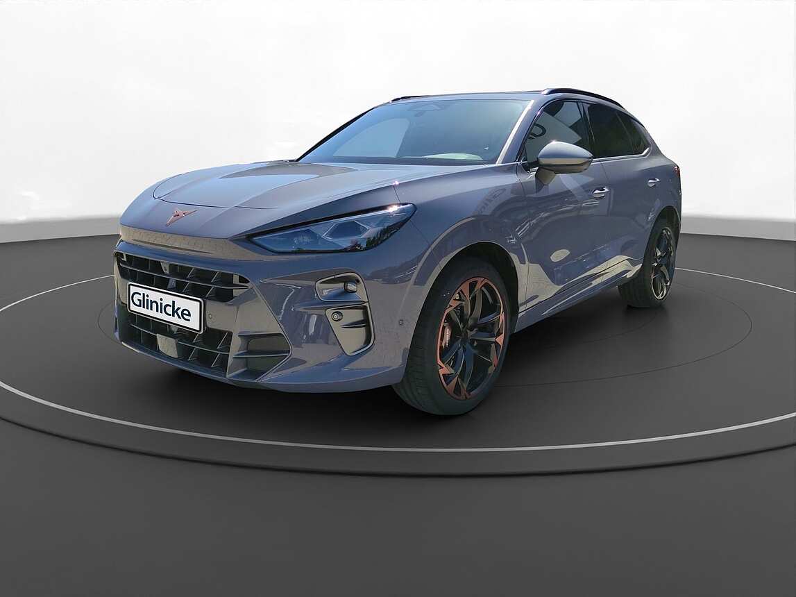 Cupra - Terramar 2.0 TSI DSG VZ 4Drive Akebono Pano 8422055
