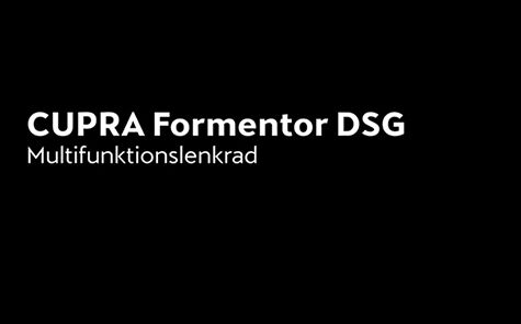 Formentor - Multifunktionslenkrad - Cupra