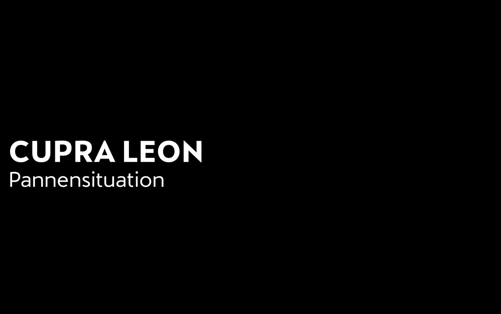 Leon - Pannensituation - Cupra